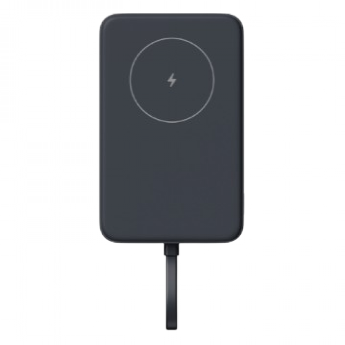 MI 小米 WPB1007MI 磁吸自帶線行動電源 10000 33W (深灰色)